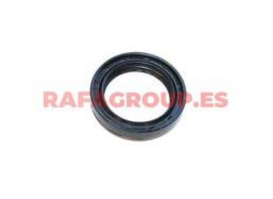 RG539581 - Seal Ring, differential